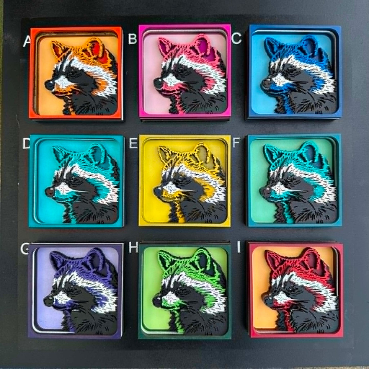 Racoon magnets